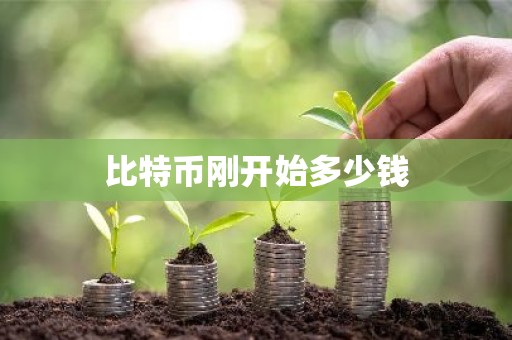 比特币刚开始多少钱