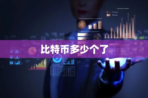比特币多少个了