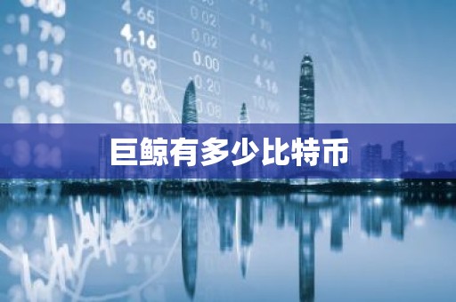 巨鲸有多少比特币
