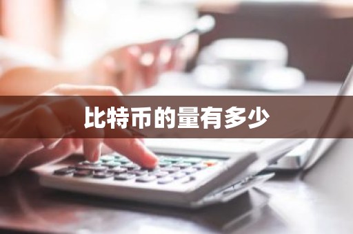 比特币的量有多少