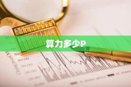 算力多少P
