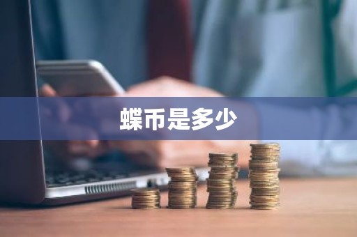 蝶币是多少