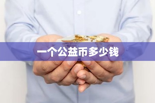一个公益币多少钱