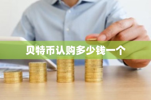 贝特币认购多少钱一个