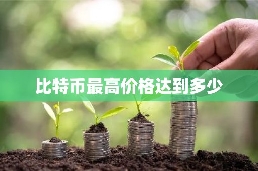 比特币最高价格达到多少