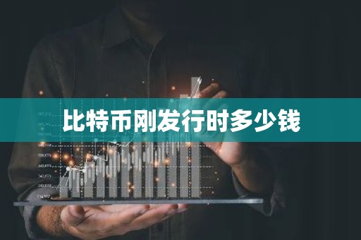 比特币刚发行时多少钱