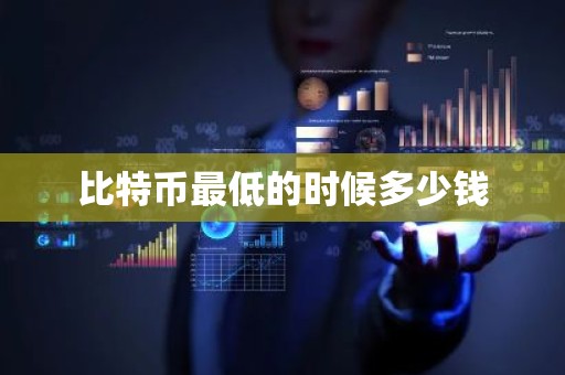 比特币最低的时候多少钱