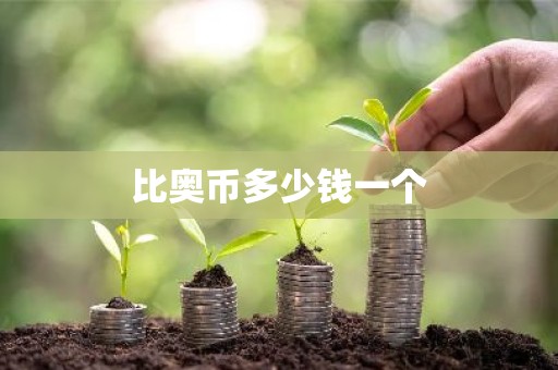 比奥币多少钱一个