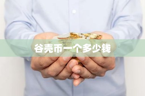 谷壳币一个多少钱