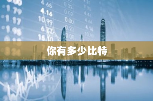 你有多少比特