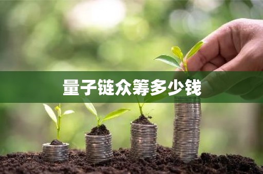 量子链众筹多少钱