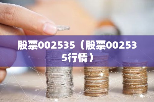 股票002535（股票002535行情）