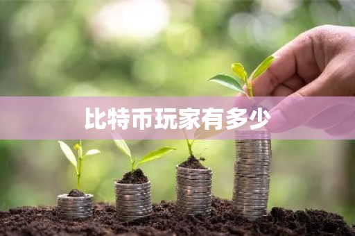 比特币玩家有多少