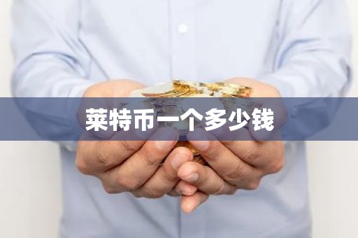 莱特币一个多少钱