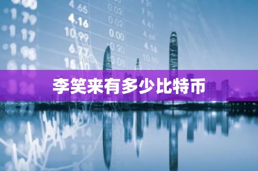 李笑来有多少比特币