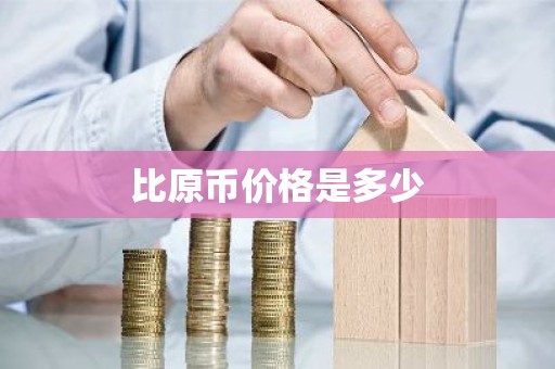 比原币价格是多少
