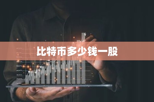 比特币多少钱一股