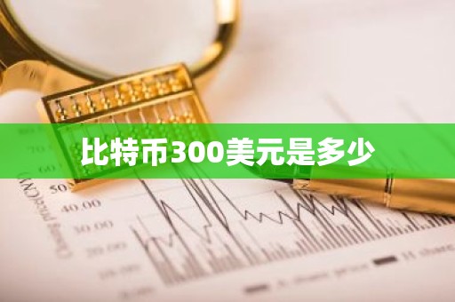 比特币300美元是多少