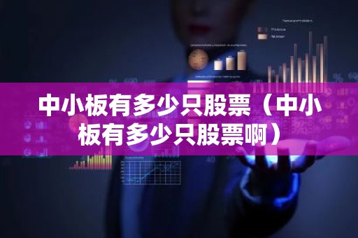 中小板有多少只股票（中小板有多少只股票啊）