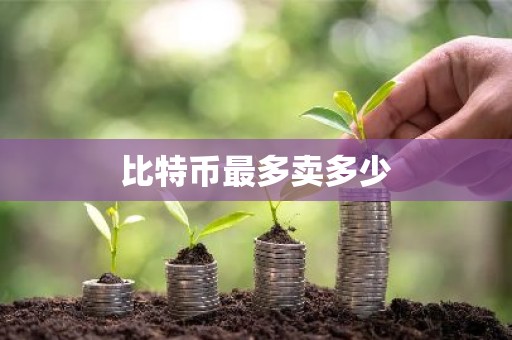 比特币最多卖多少