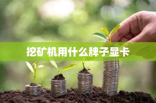 挖矿机用什么牌子显卡