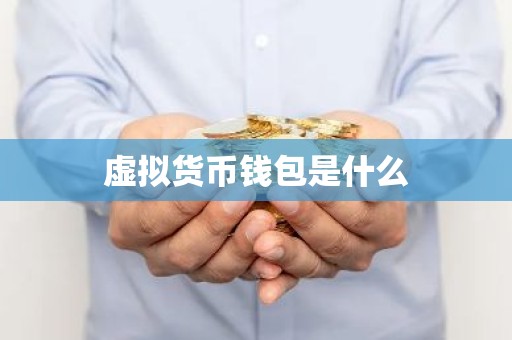虚拟货币钱包是什么