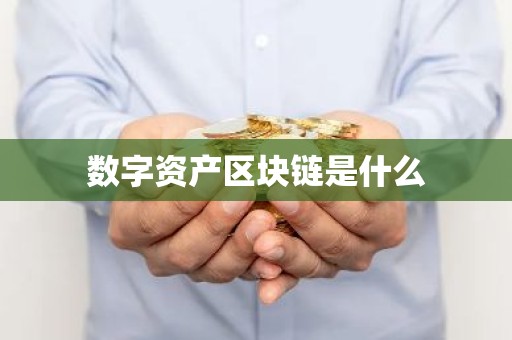 数字资产区块链是什么