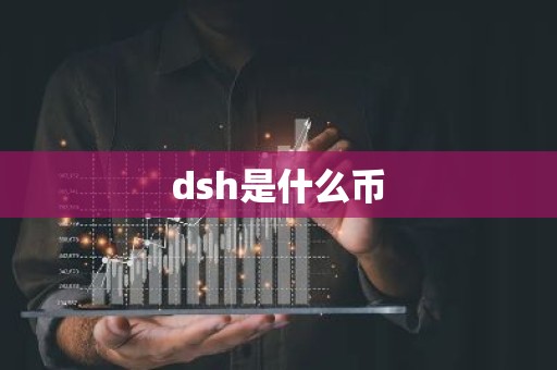 dsh是什么币
