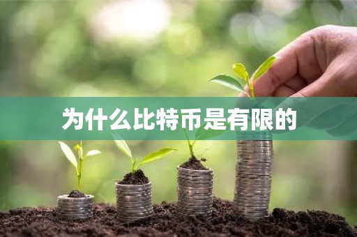 为什么比特币是有限的