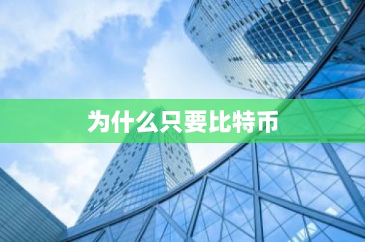 为什么只要比特币