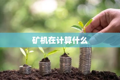 矿机在计算什么