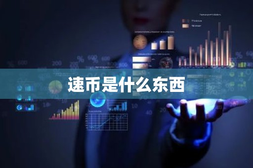速币是什么东西