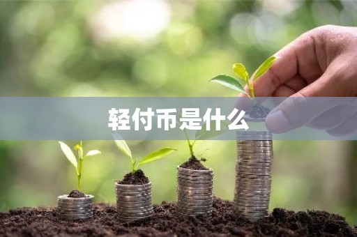轻付币是什么