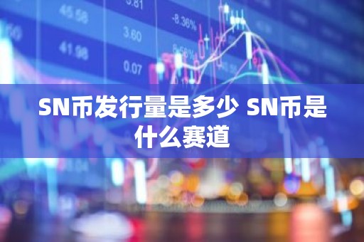 SN币发行量是多少 SN币是什么赛道