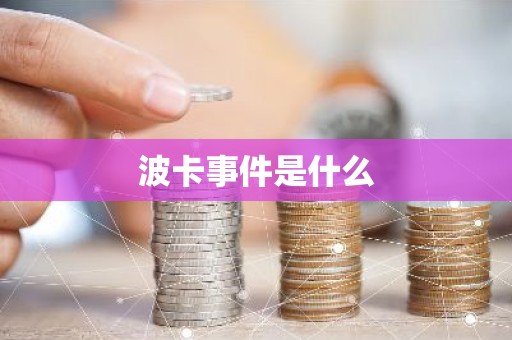 波卡事件是什么