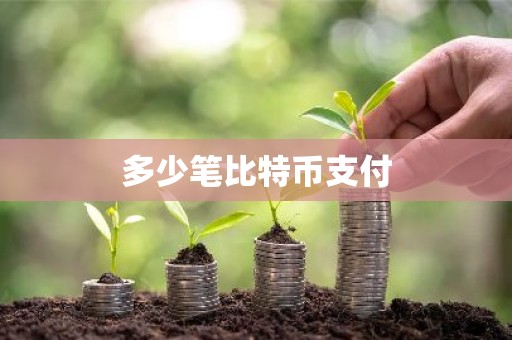 多少笔比特币支付