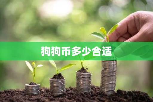 狗狗币多少合适