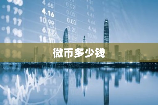 微币多少钱