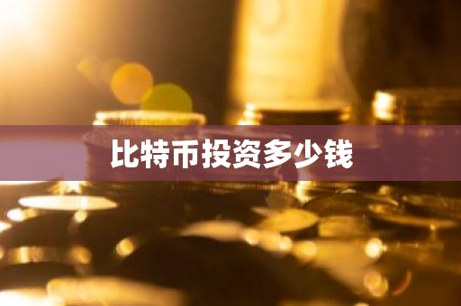 比特币投资多少钱
