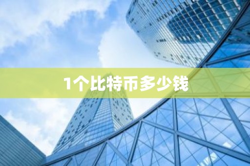 1个比特币多少钱