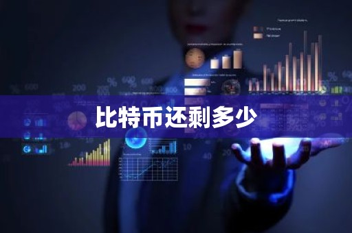 比特币还剩多少