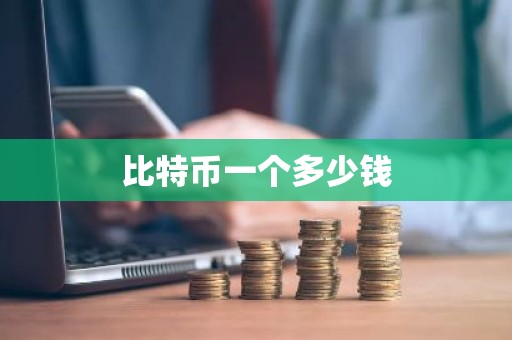 比特币一个多少钱