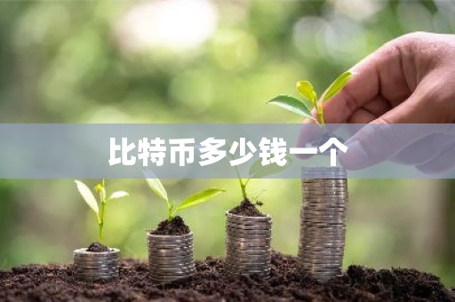 比特币多少钱一个