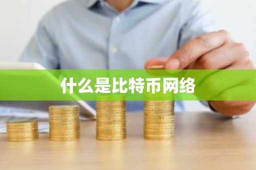 什么是比特币网络