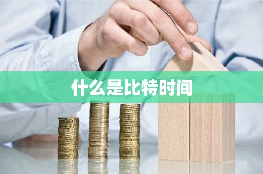 什么是比特时间
