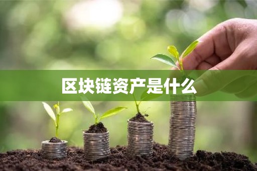 区块链资产是什么