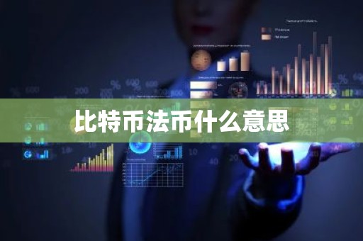 比特币法币什么意思