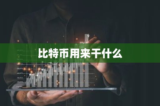 比特币用来干什么