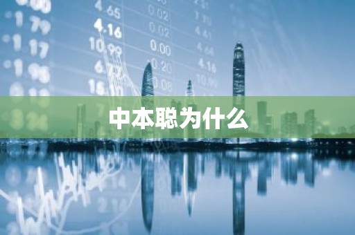 中本聪为什么
