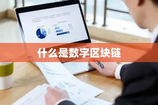 什么是数字区块链